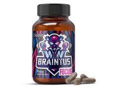 OstroVit Braintus Focus 90 Capsule